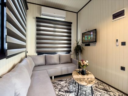Vikings Tiny House 2 VN#115